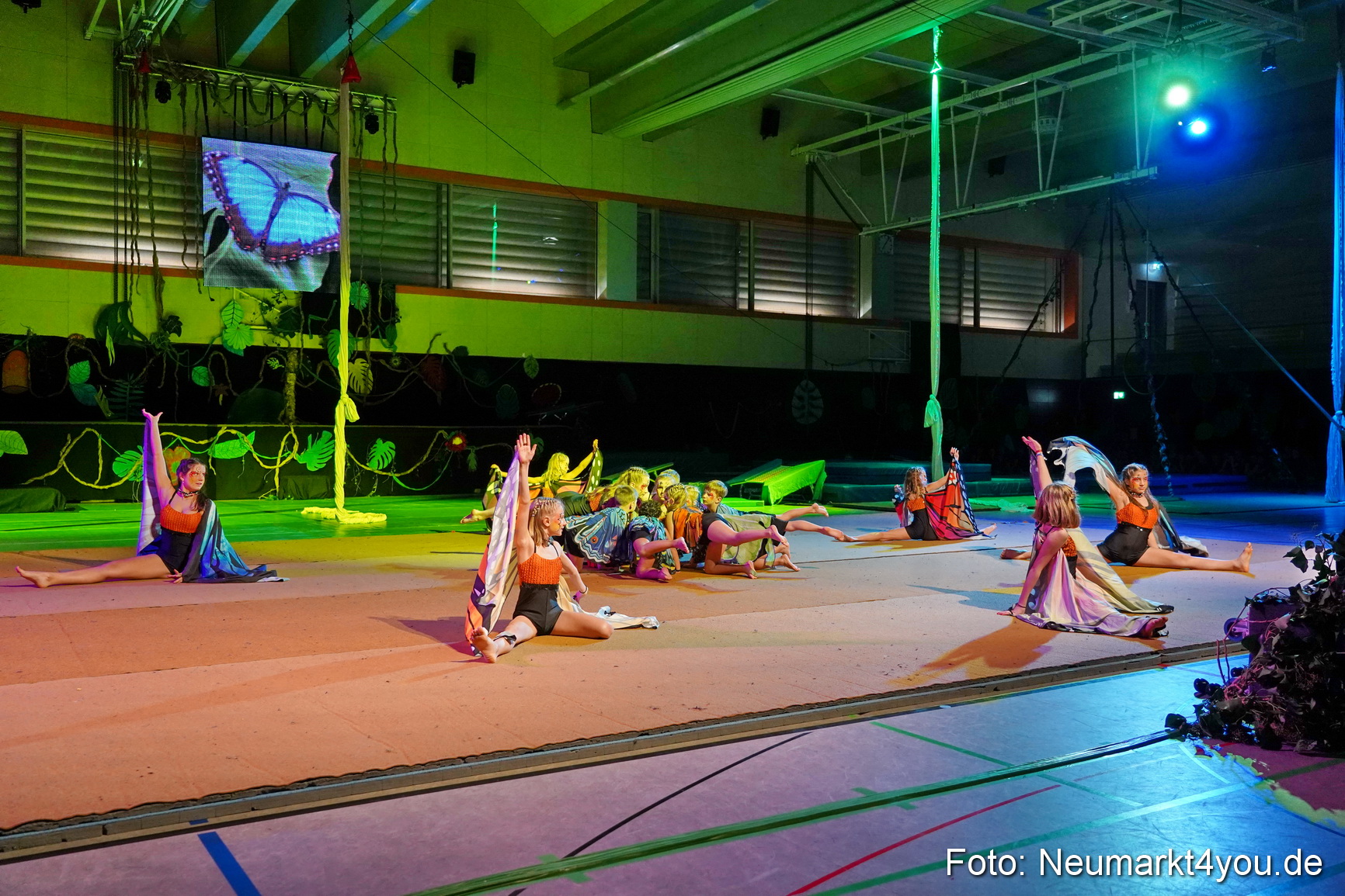 Artico Artistical Dschungelbuch 2020 0032